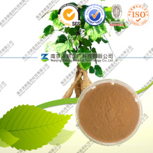 Pueraria Mirifica Wurzelextrakt Pueraria Flavones 80%